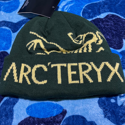 arcteryx-bird-word-toque-beanie-green-3-Drip Store Argentina