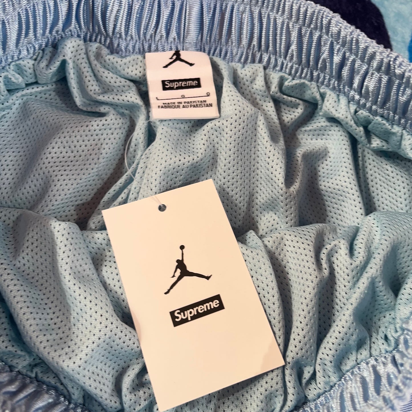 Short Supreme Jordan Warm Up Celeste