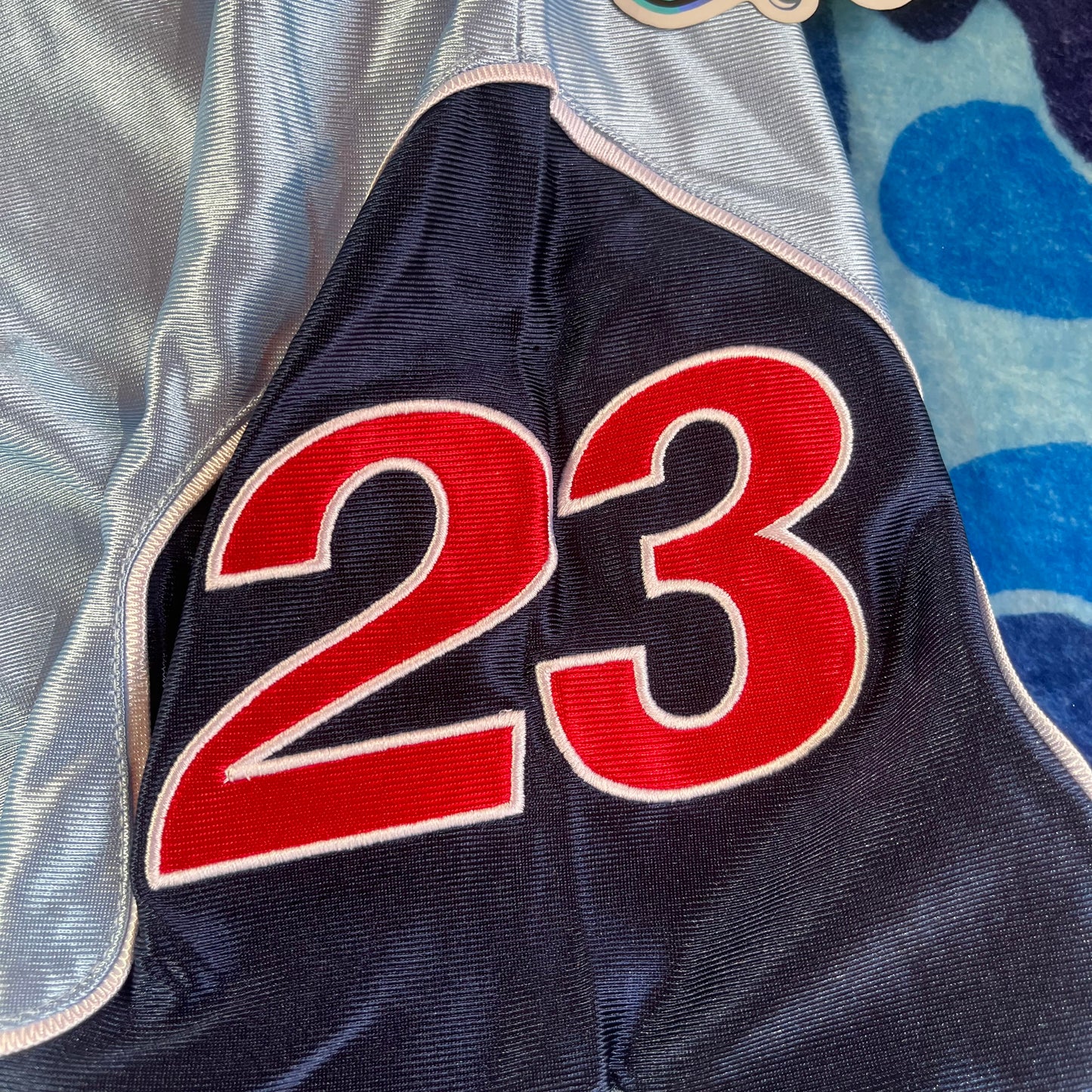 Short Supreme Jordan Warm Up Celeste