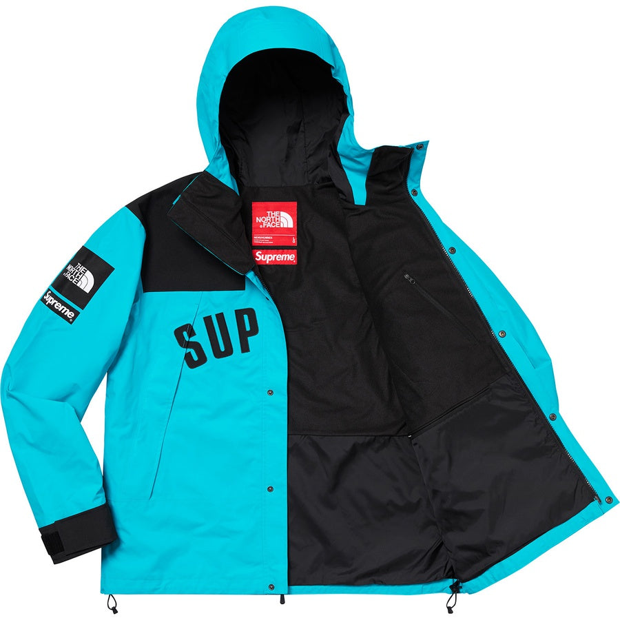 SUPREME x THE NORTH FACE ARC LOGO MOUNTAIN PARKA