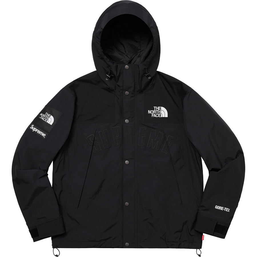 SUPREME x THE NORTH FACE ARC LOGO MOUNTAIN PARKA